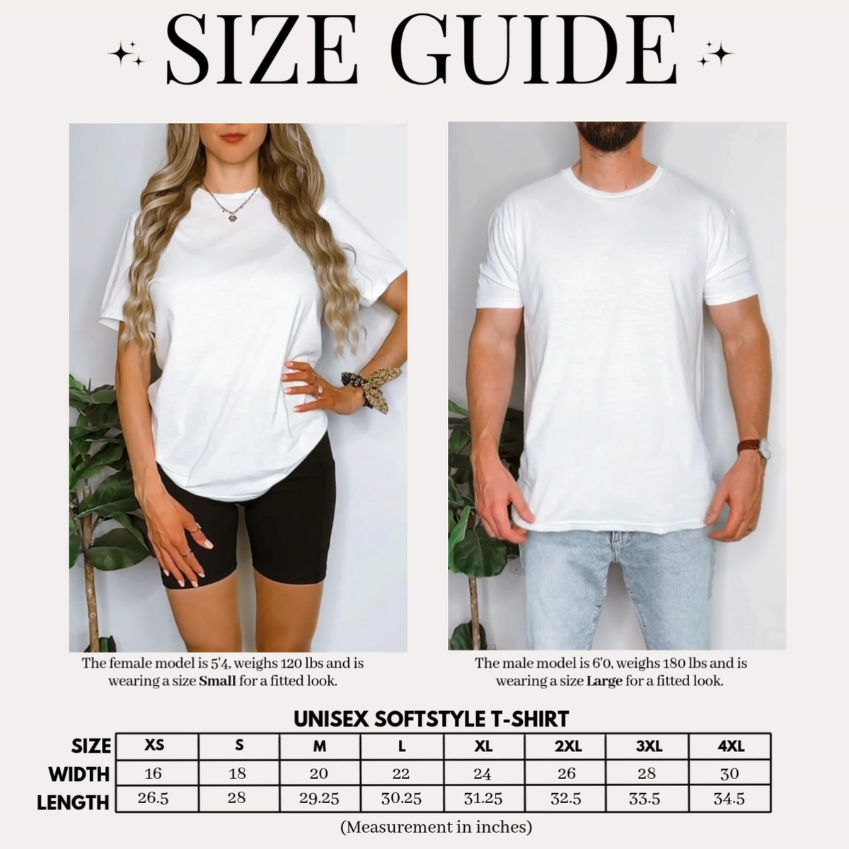 Hantavirus Cruise Mouse Shirt, Meme Unisex Tee Funny Cruise Ship Tee, Chief Passenger T-Shirt,